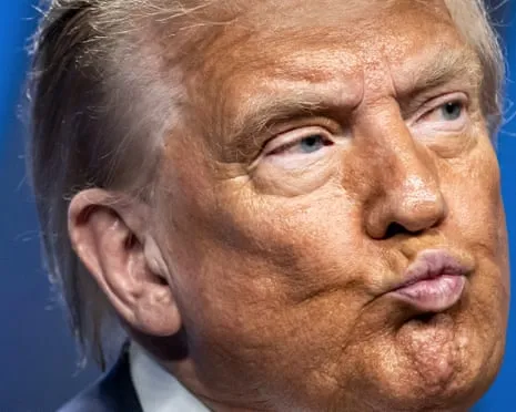 Trump vs Reality Review: No Other Network Would Dare TV So Bold (while also) Exhausting