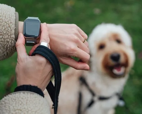 The Truth About Fitness Trackers? Daily Existence Is Better Lacking a Bossy Device on Your Wristwear